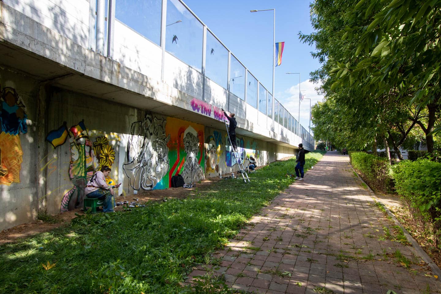 Bridge Delivery - Iasi